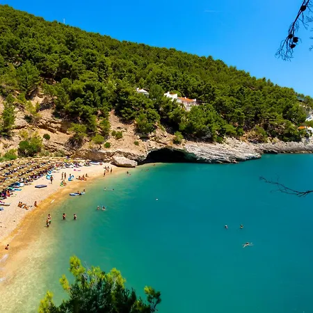 Pugnochiuso Del Faro Vieste