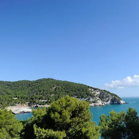 Pugnochiuso Del Faro 4*
